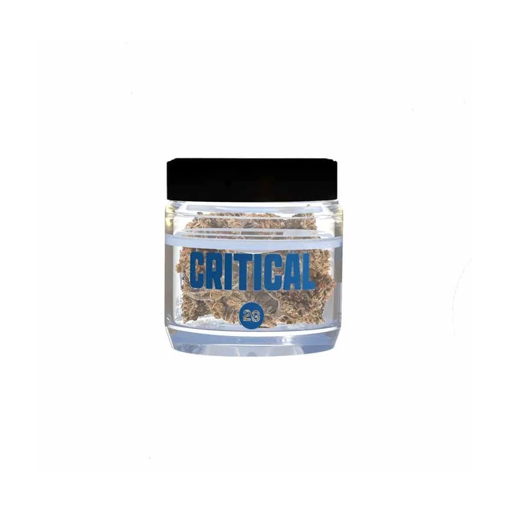 SMOOTH COMPANY – Critical – 2g