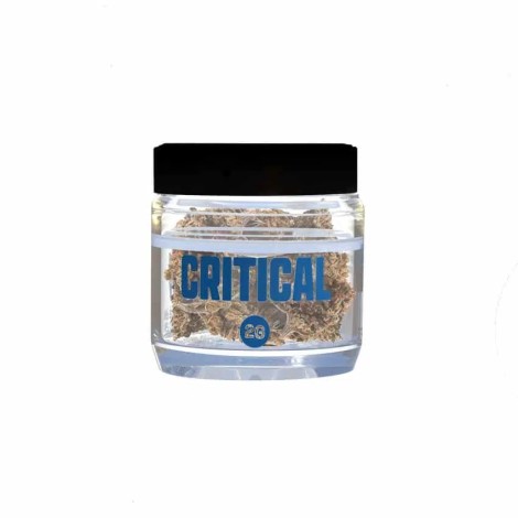 SMOOTH COMPANY – Critical – 2g