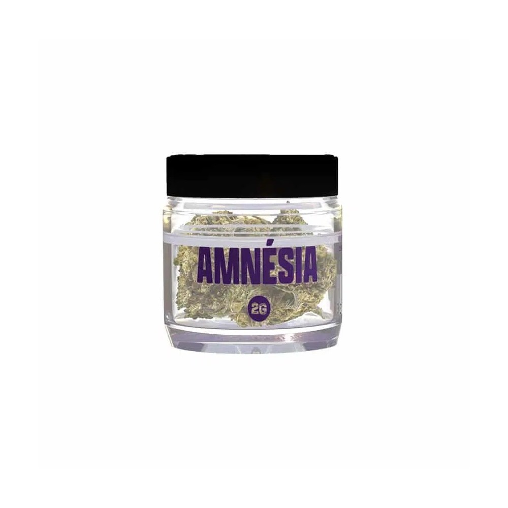 SMOOTH COMPANY - Amnésia – 2g