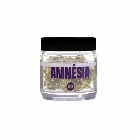 SMOOTH COMPANY - Amnésia – 2g